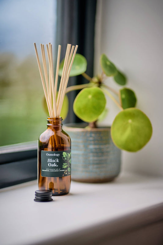An amber glass reed diffuser bottle labeled 'Dunlopny Black Oak' with natural reed sticks, set on a windowsill with a potted green plant blurred in the background.