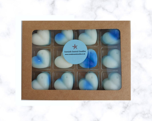 Aqua Mineral Wax Melts from Home and Bay