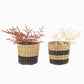 Seagrass Planter Duo living from Home and Bay