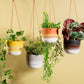 Mojave Grey Hanging Planter range from Home and Bay
