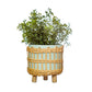 Sea Green Woven Planter with plant from Home and Bay
