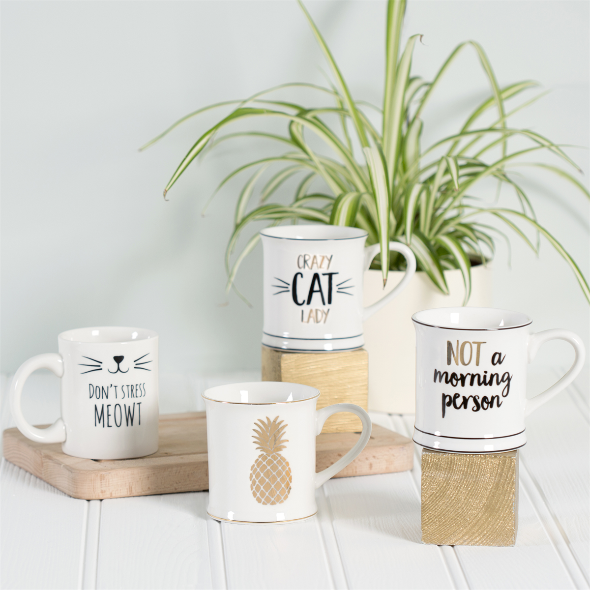 Sass and Belle Cat's Whiskers Don't Stress Meowt White Mug