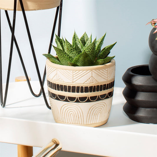 Black & White Sgraffito Planter