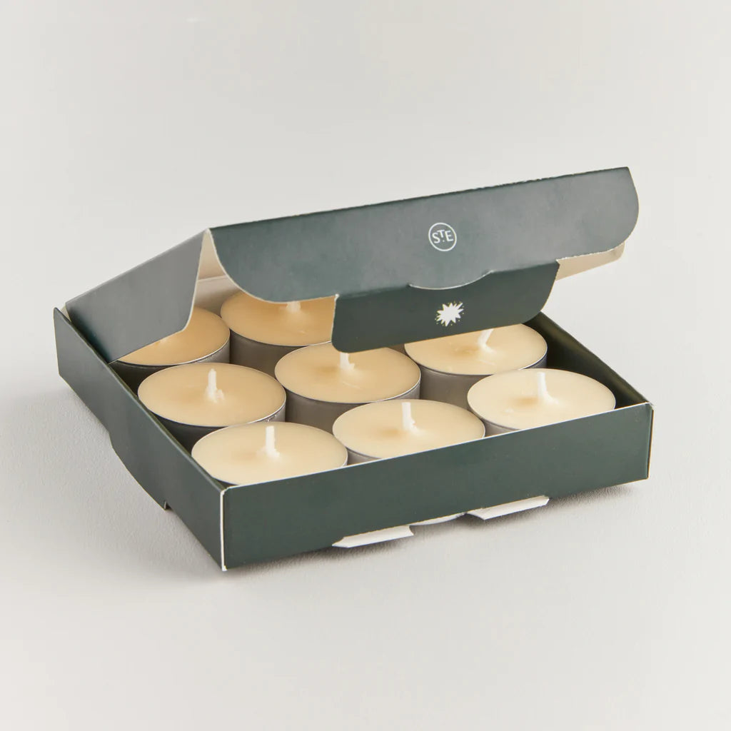 St Eval Winter Thyme Scented Tealight Candles Home And Bay