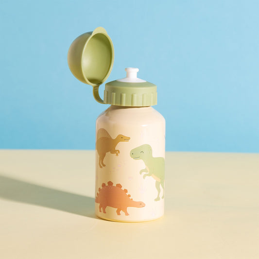 Sass and Belle Desert Dino Metal Water Bottle 