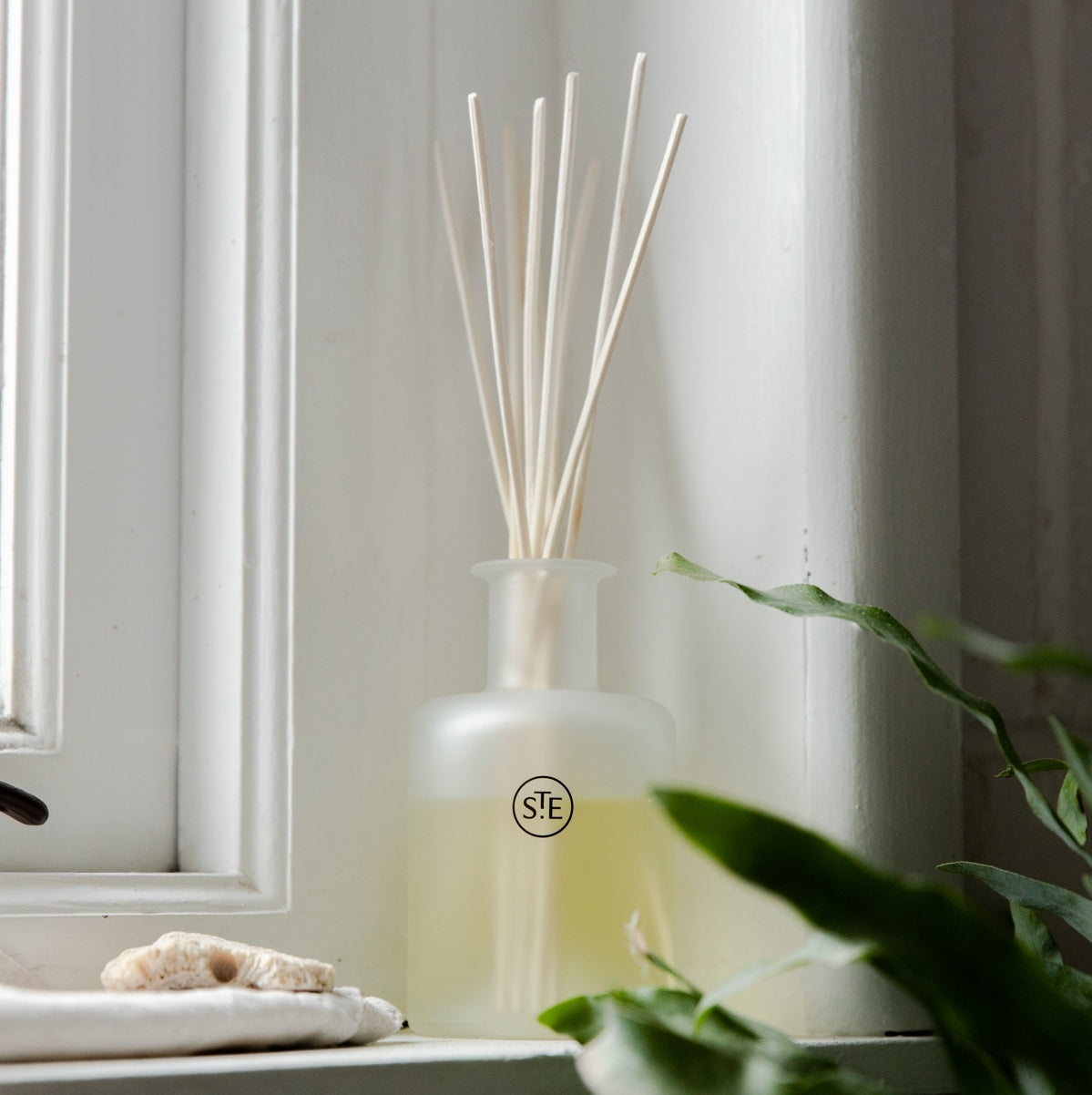 Cucumber & Black Pepper Reed Diffuser by St Eval 